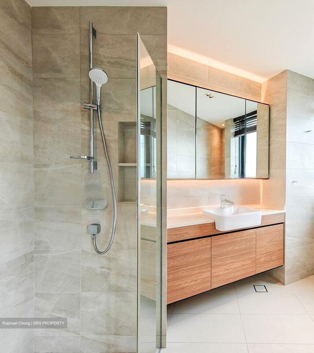 Harbour View Towers (D4), Condominium #497713601